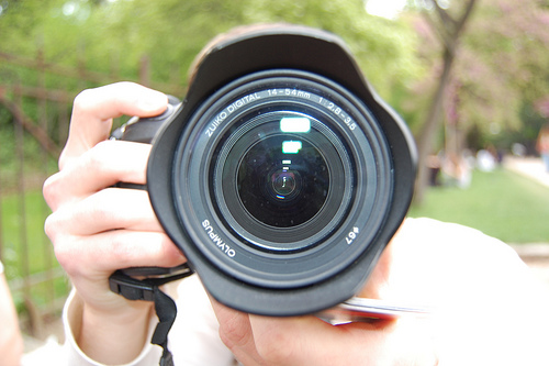 picture contest